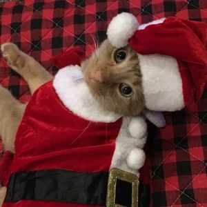 Meet your Posher, Bethany